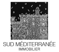 sudmediterraneeimmobilier.png